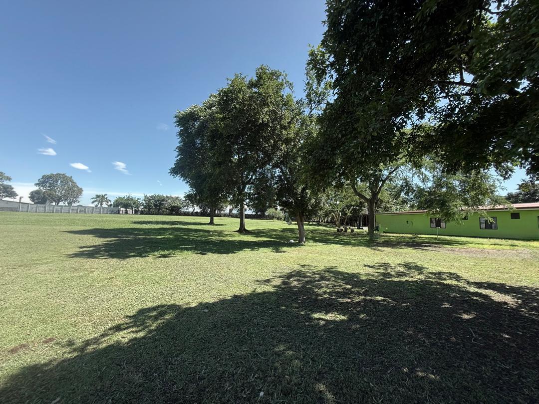 Property at Guácima