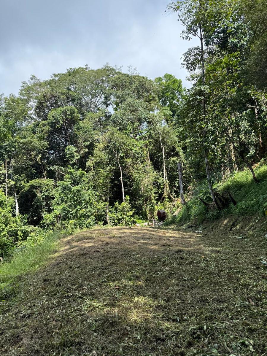 Terreno en Barú