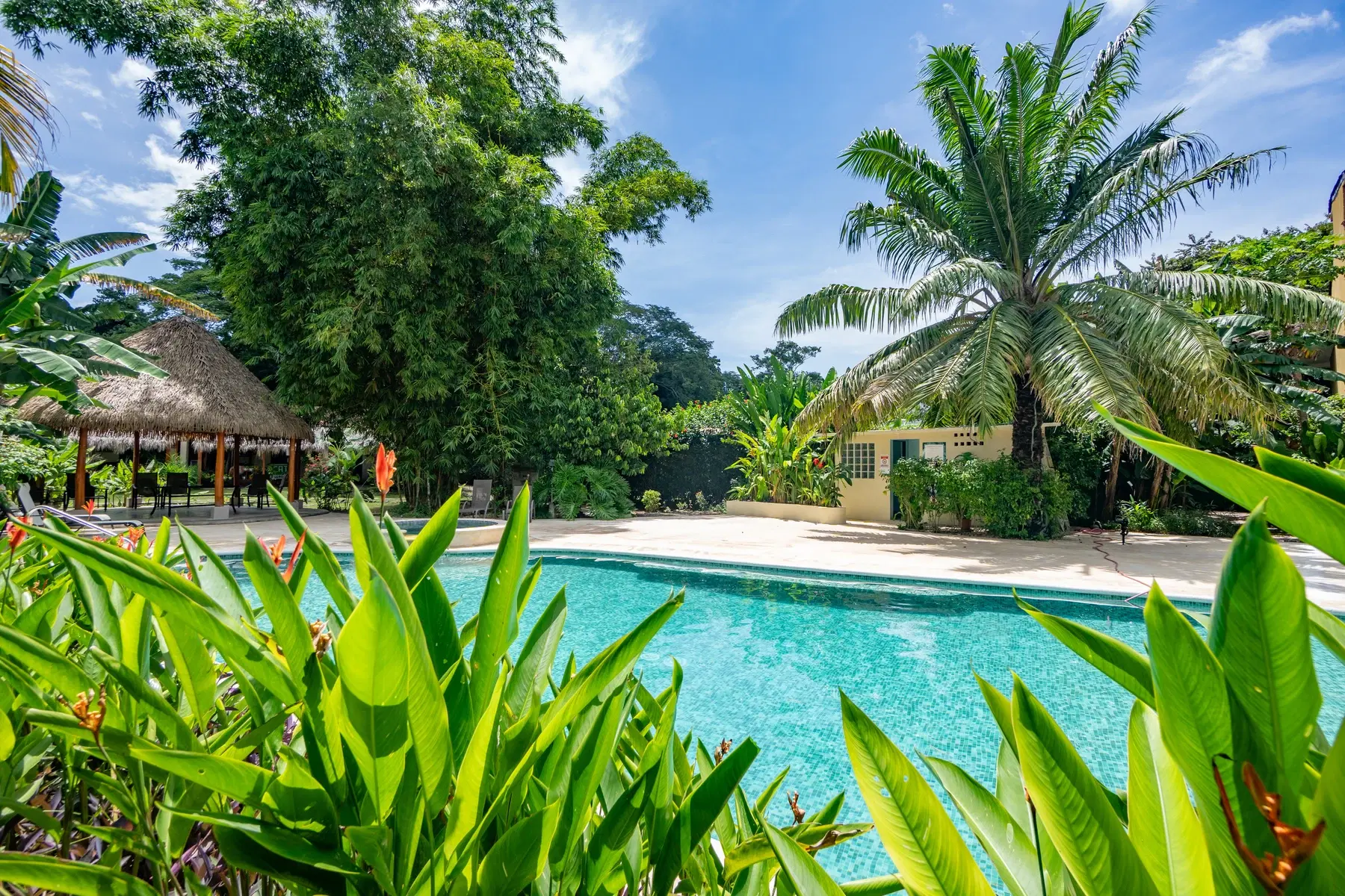 Property at Cabo Velas