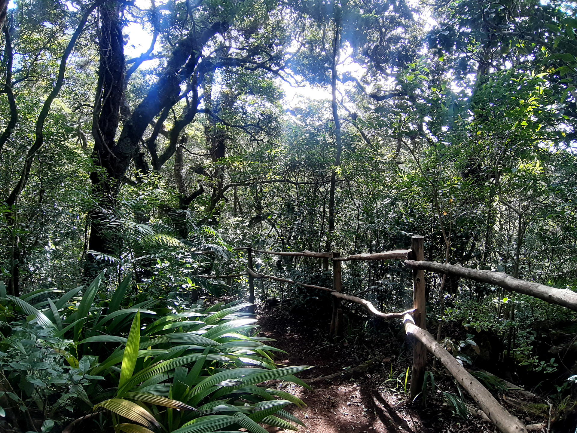 Finca en San Rafael