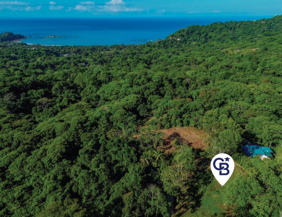 Property at Dominical