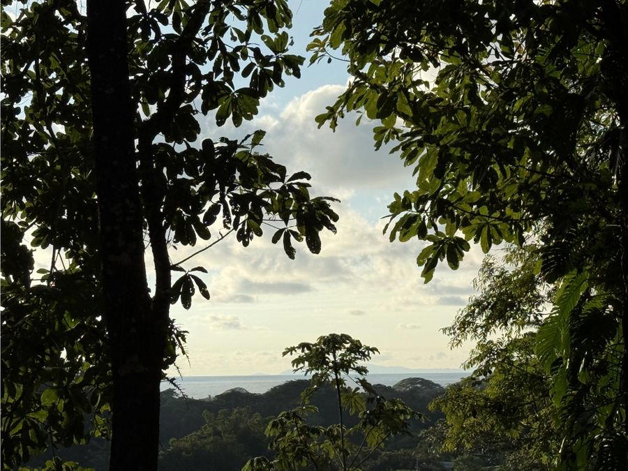 Land at Jacó