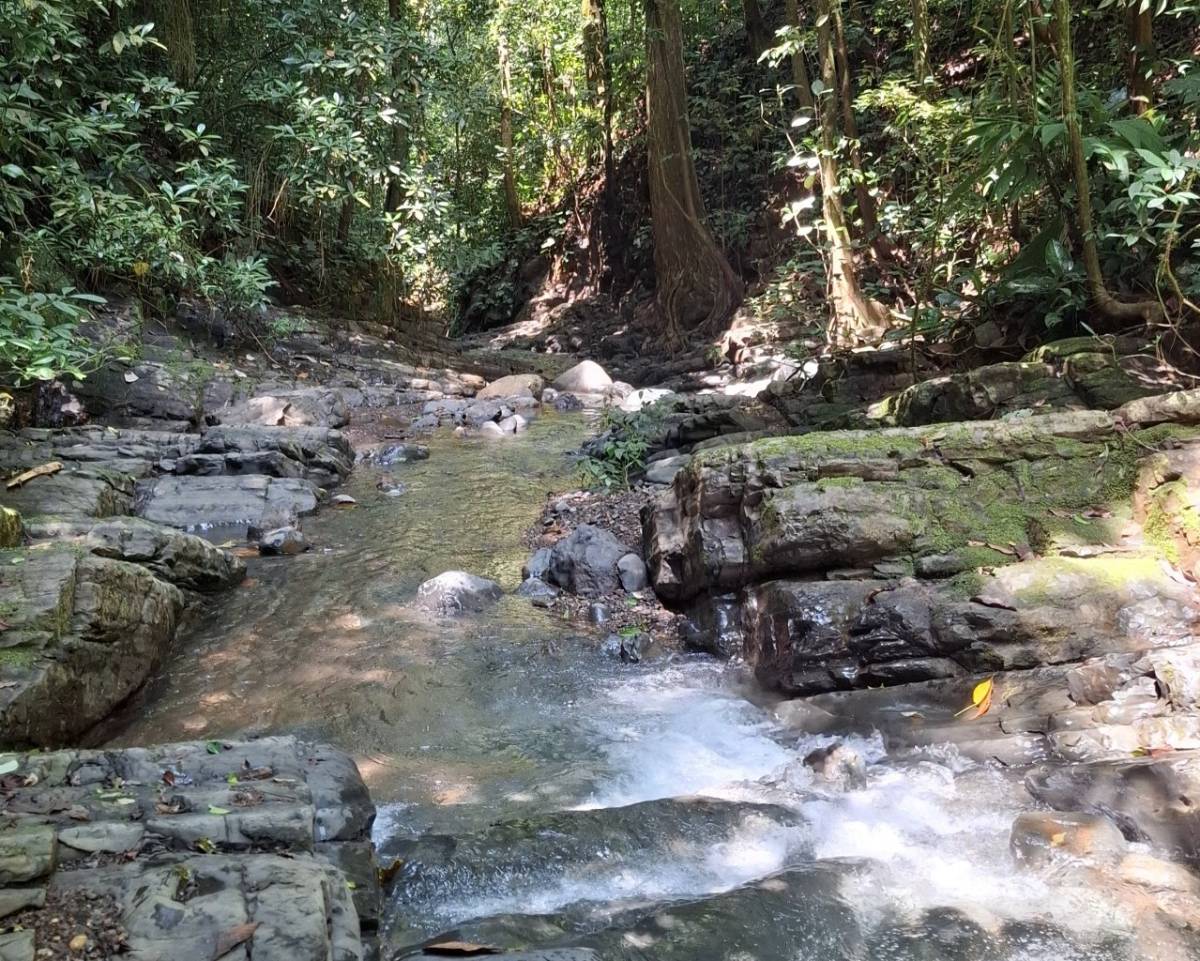 Finca en Mercedes Sur