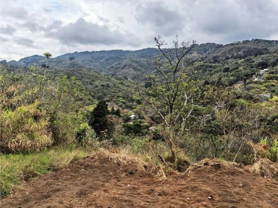 Land at Patarrá