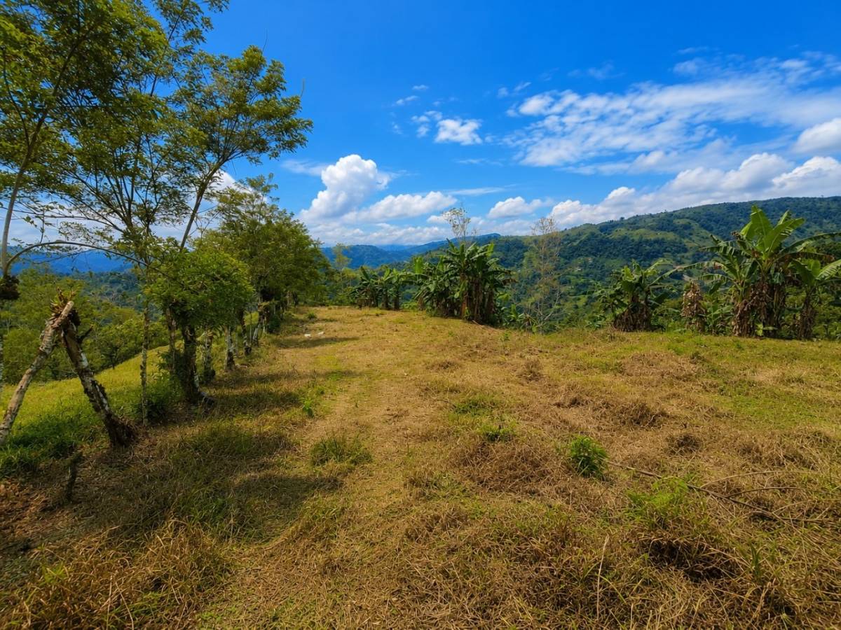 Finca en Turrialba
