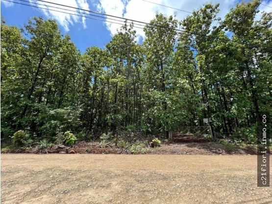 Propiedad en Tamarindo