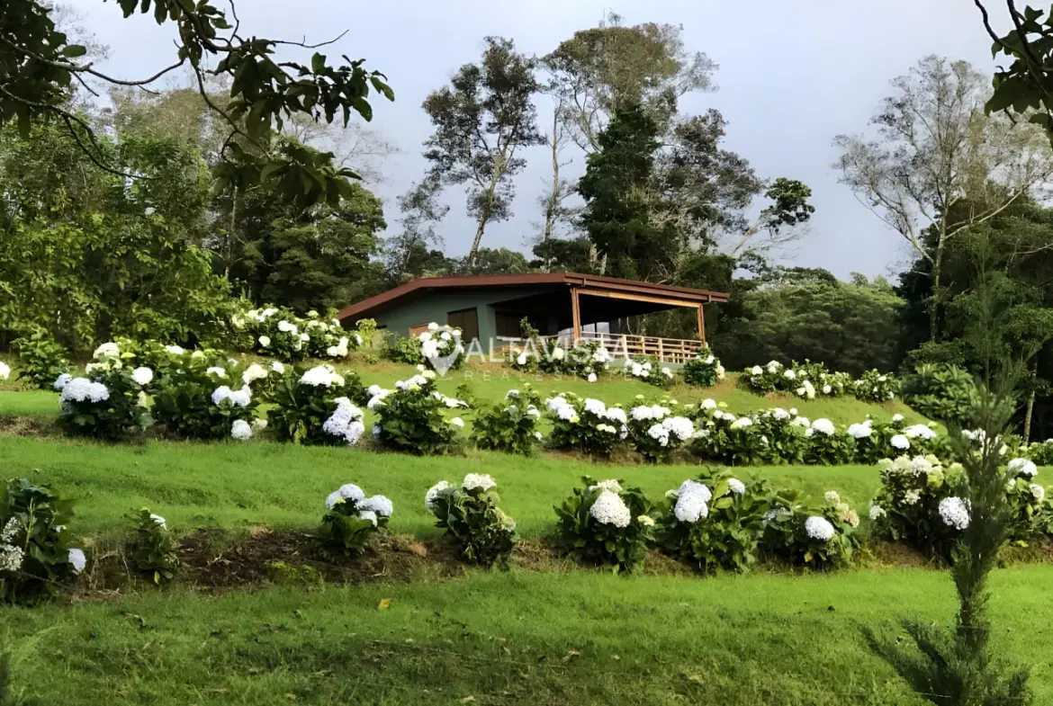 Propiedad en Carrizal