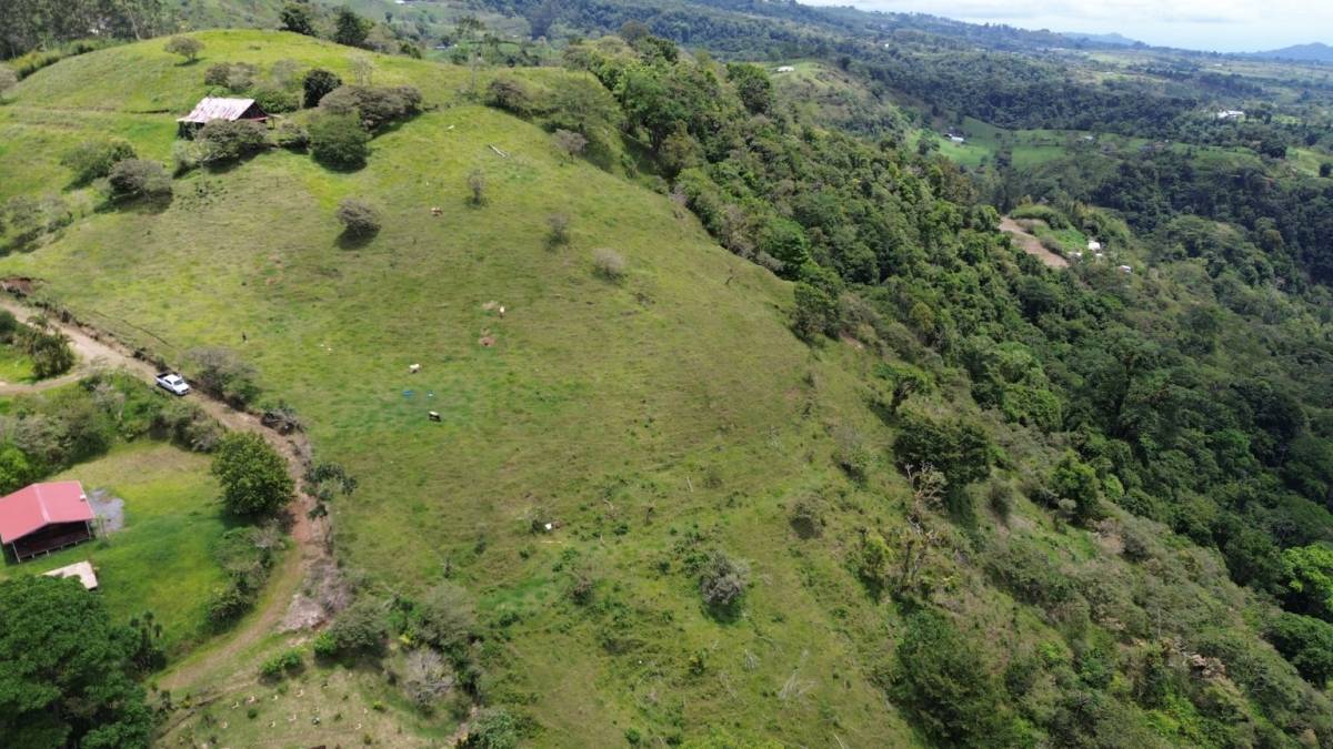 Finca en Turrialba