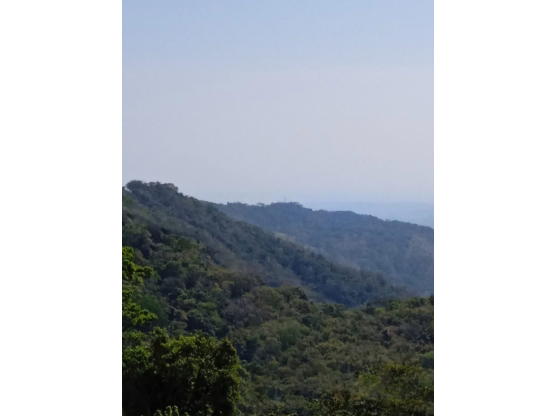 Property at Alajuela