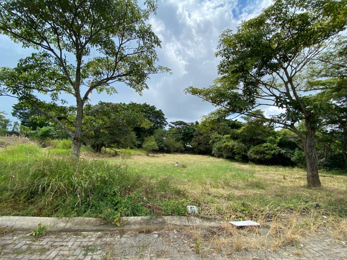 Property at Guácima