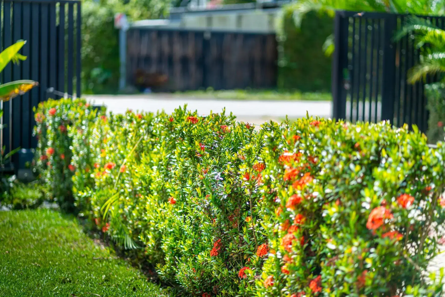 House at Bahía Ballena