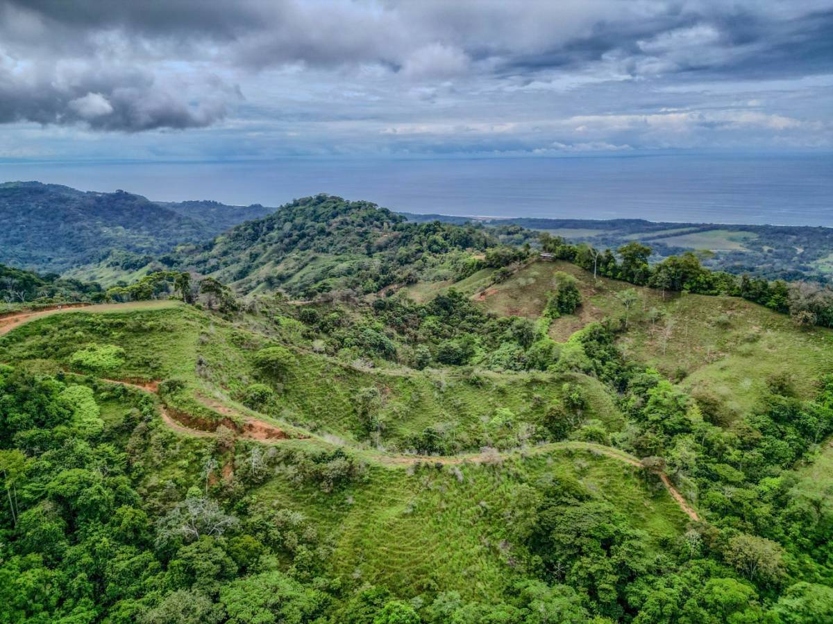 Finca en Hatillo