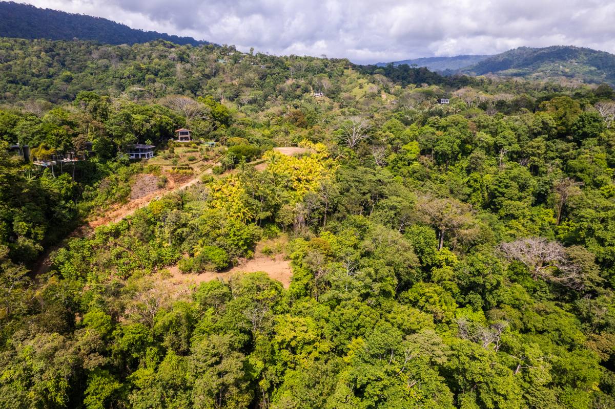 Finca en Uvita