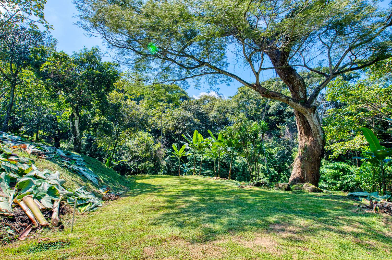 Terreno en Colón