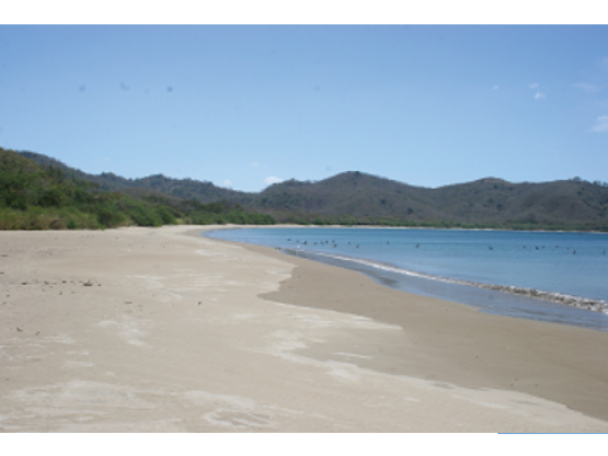 Property at Guanacaste