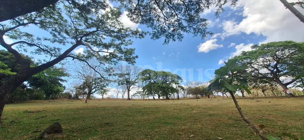 Property at Guácima