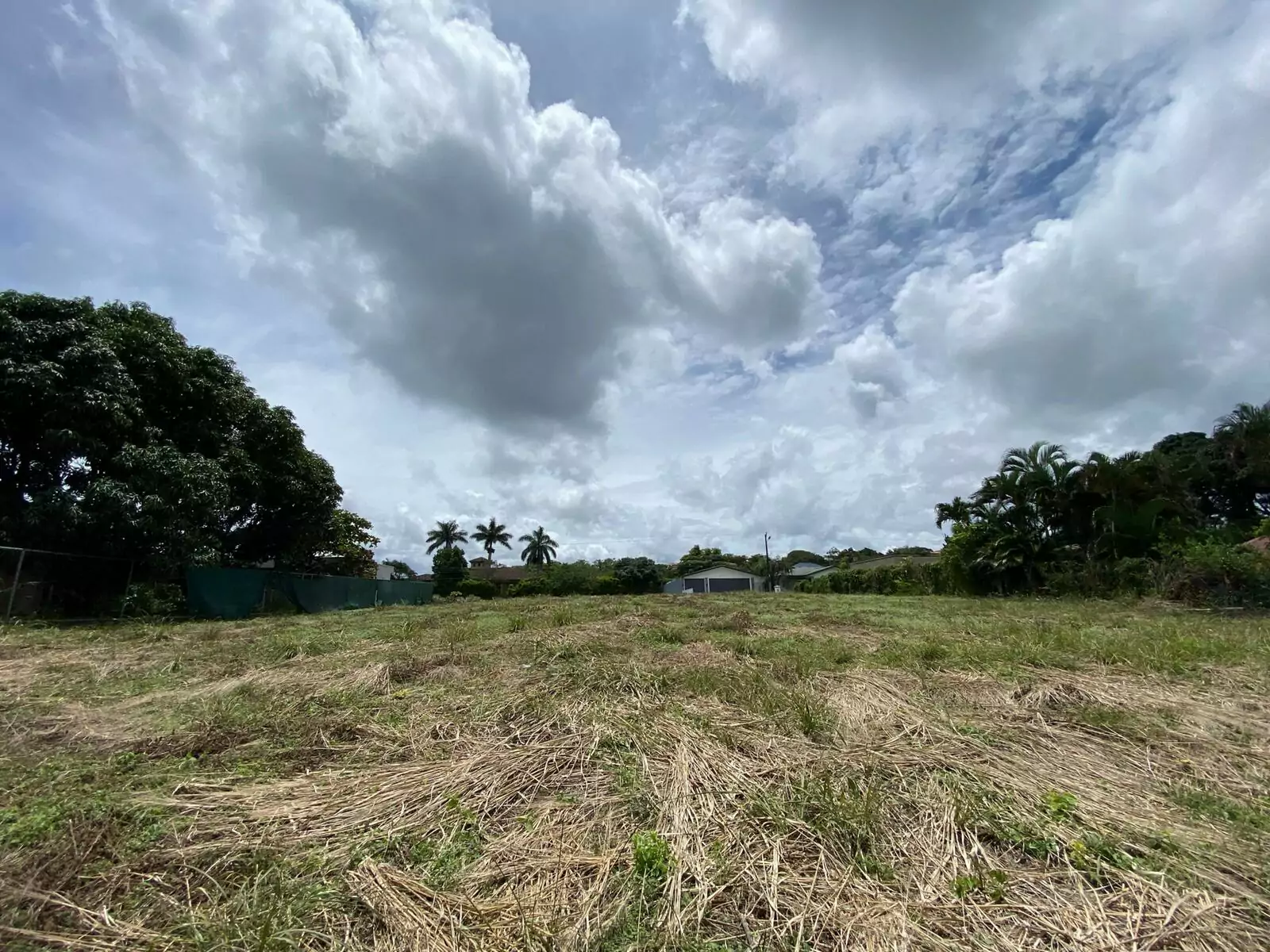 Property at Guácima