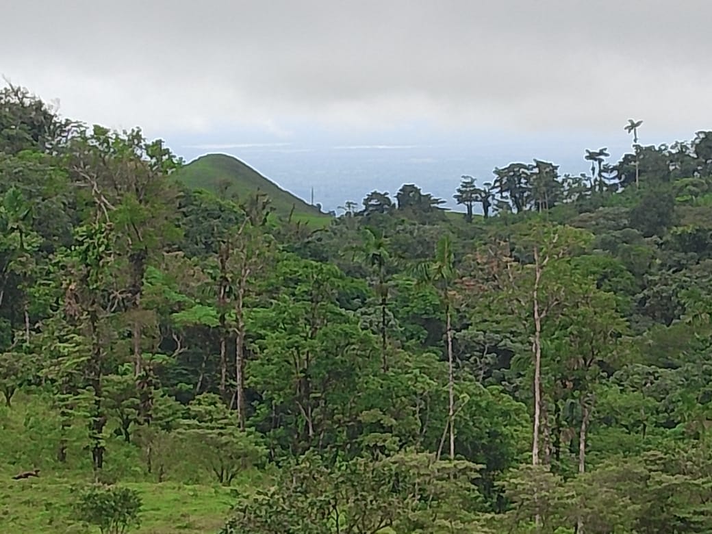 Finca en Bijagua