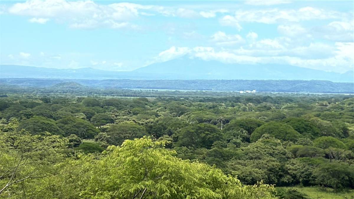 Finca en Sardinal