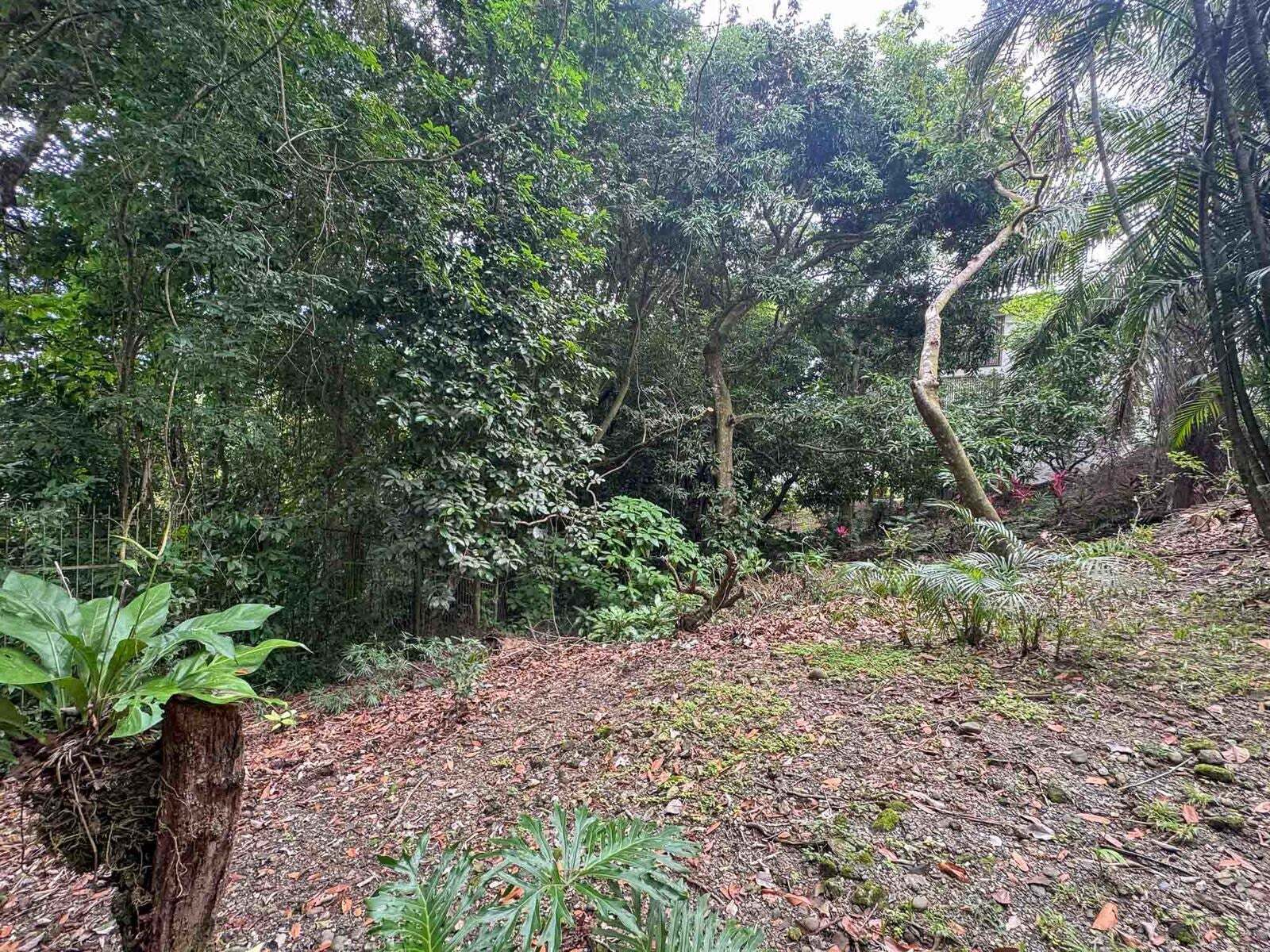 Terreno en Puntarenas