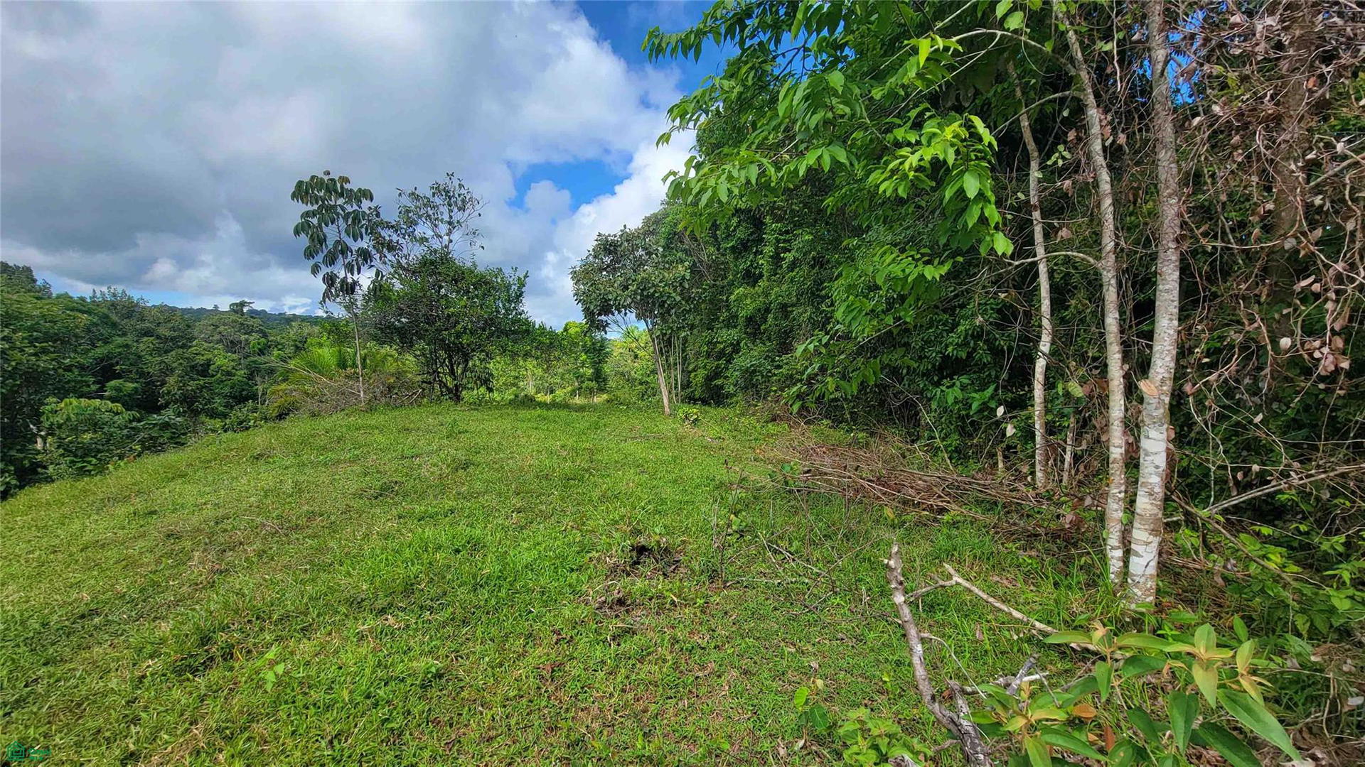 Property at Guaycará