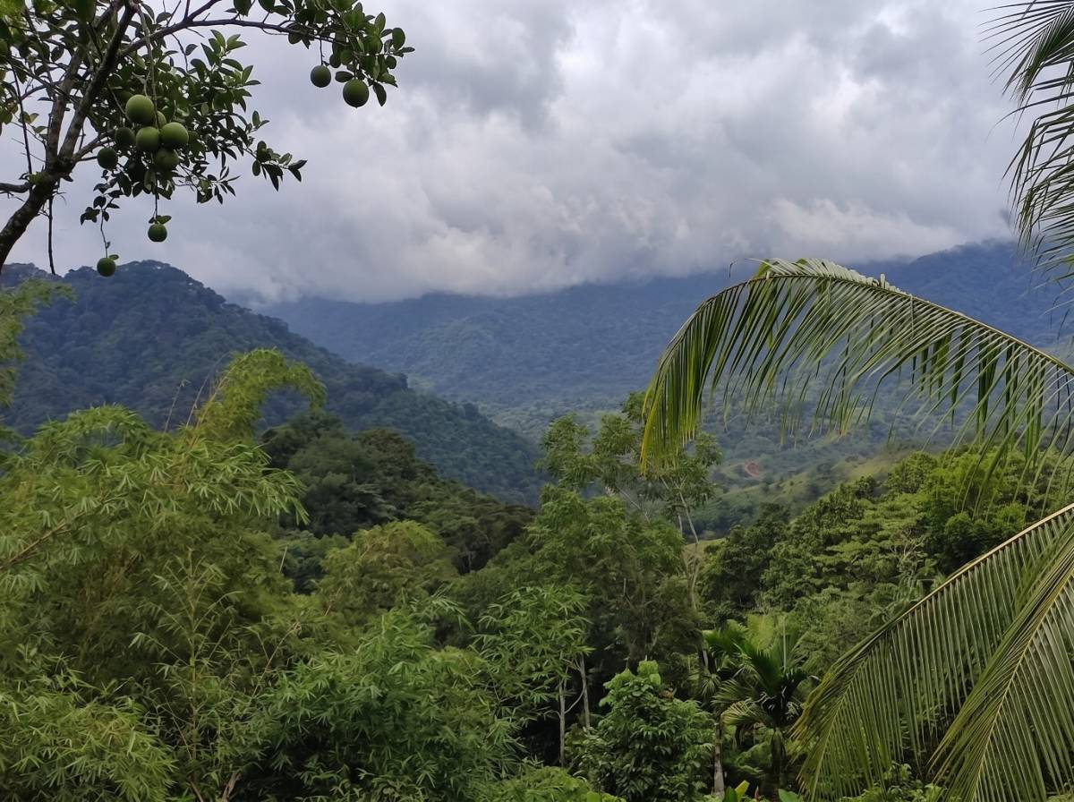 Finca en El Sur