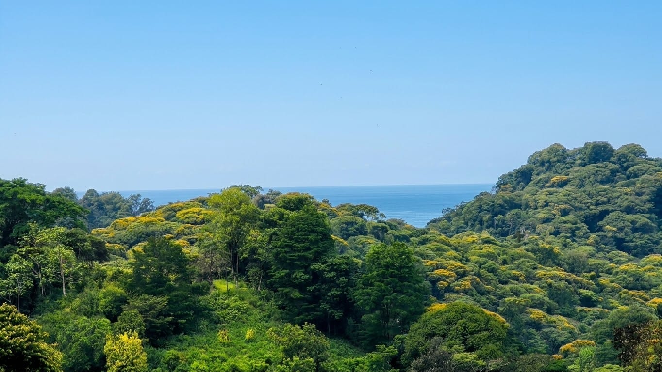 Land at Puerto Cortés