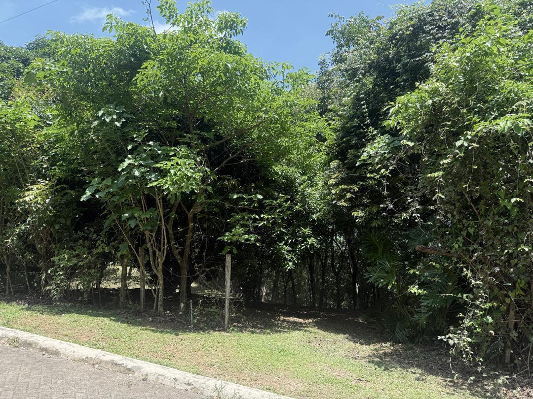 Property at San Pedro