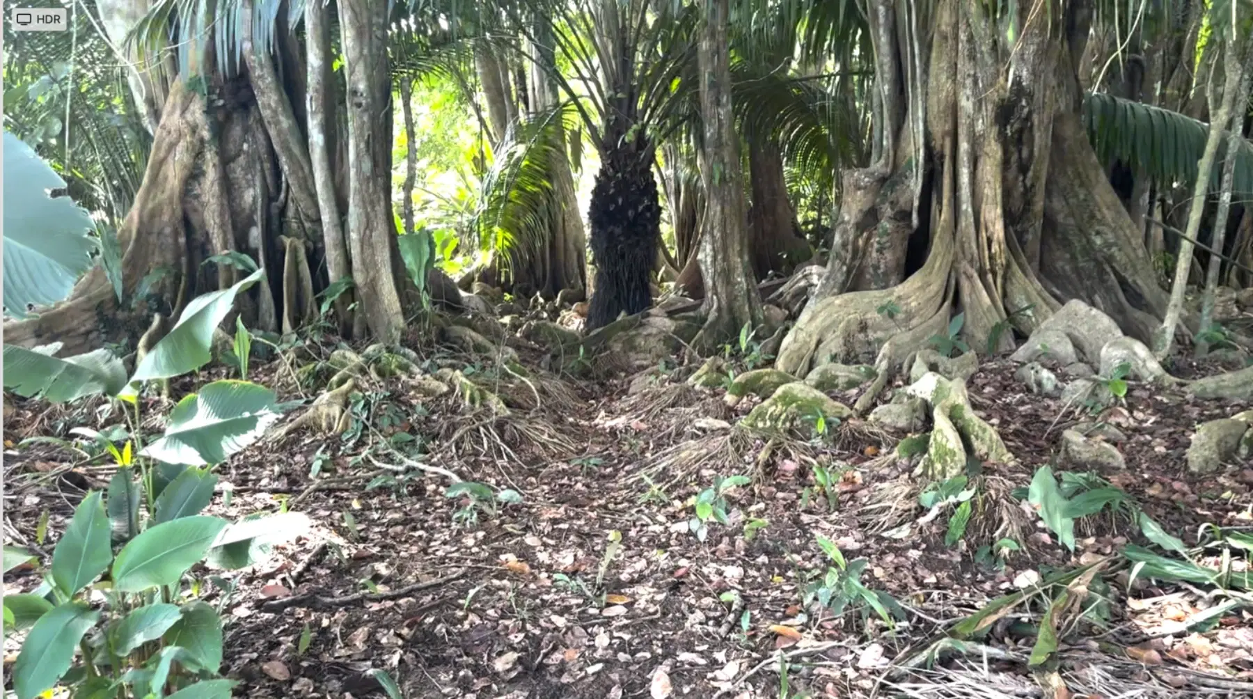 Terreno en Puerto Cortés