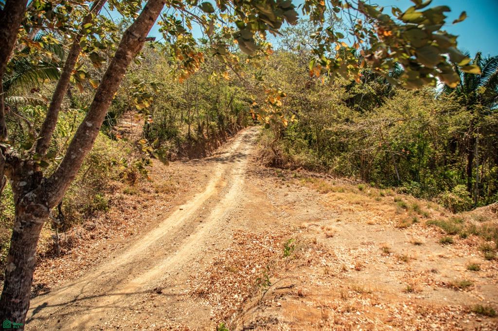 Land at Nosara