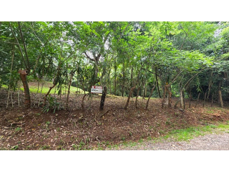 Terreno en San Mateo