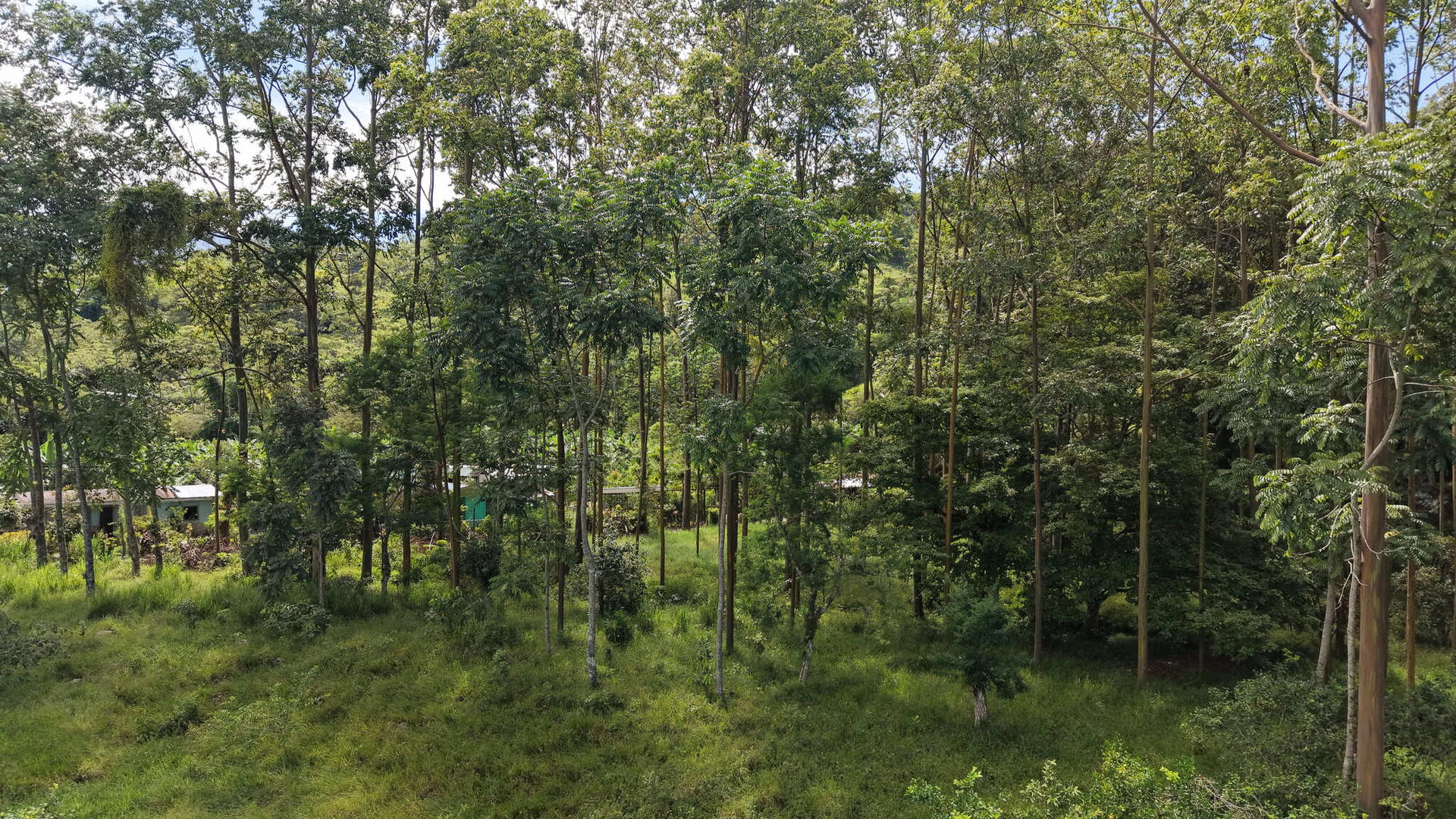 Land at Rivas