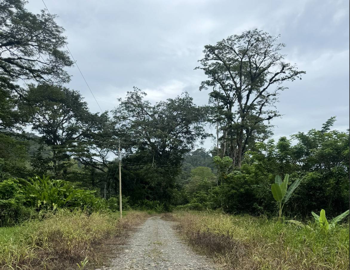Property at Carbón 1