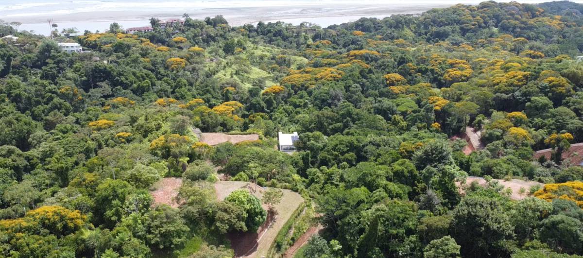 Propiedad en Ojochal