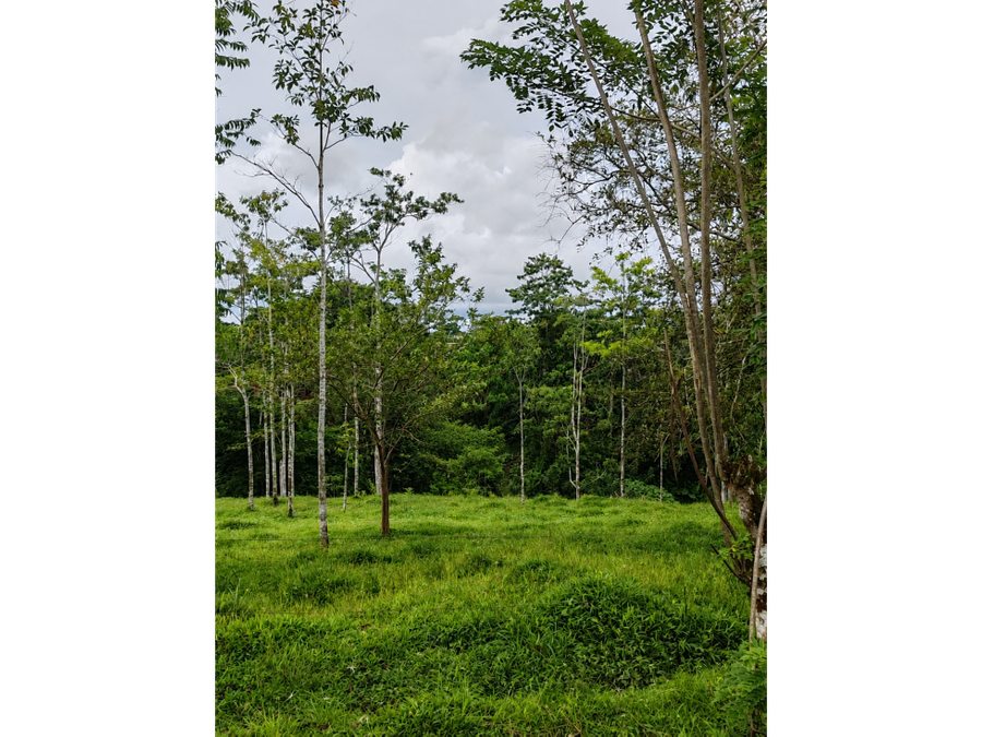 Terreno en La Tigra