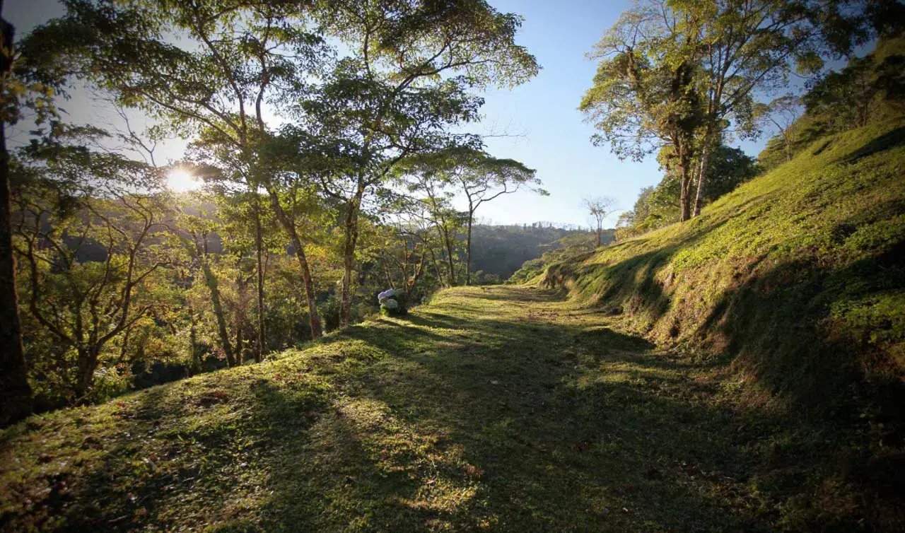 Land at Sarapiquí