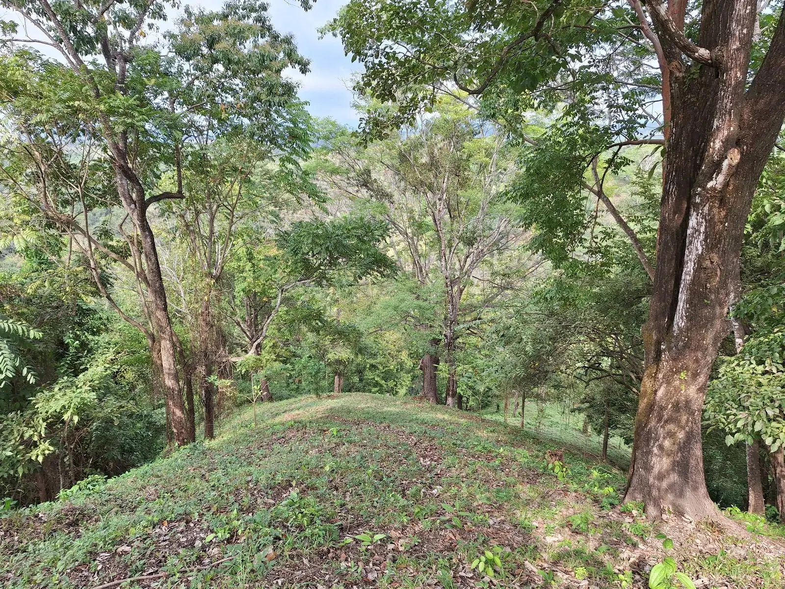 Terreno en Cóbano