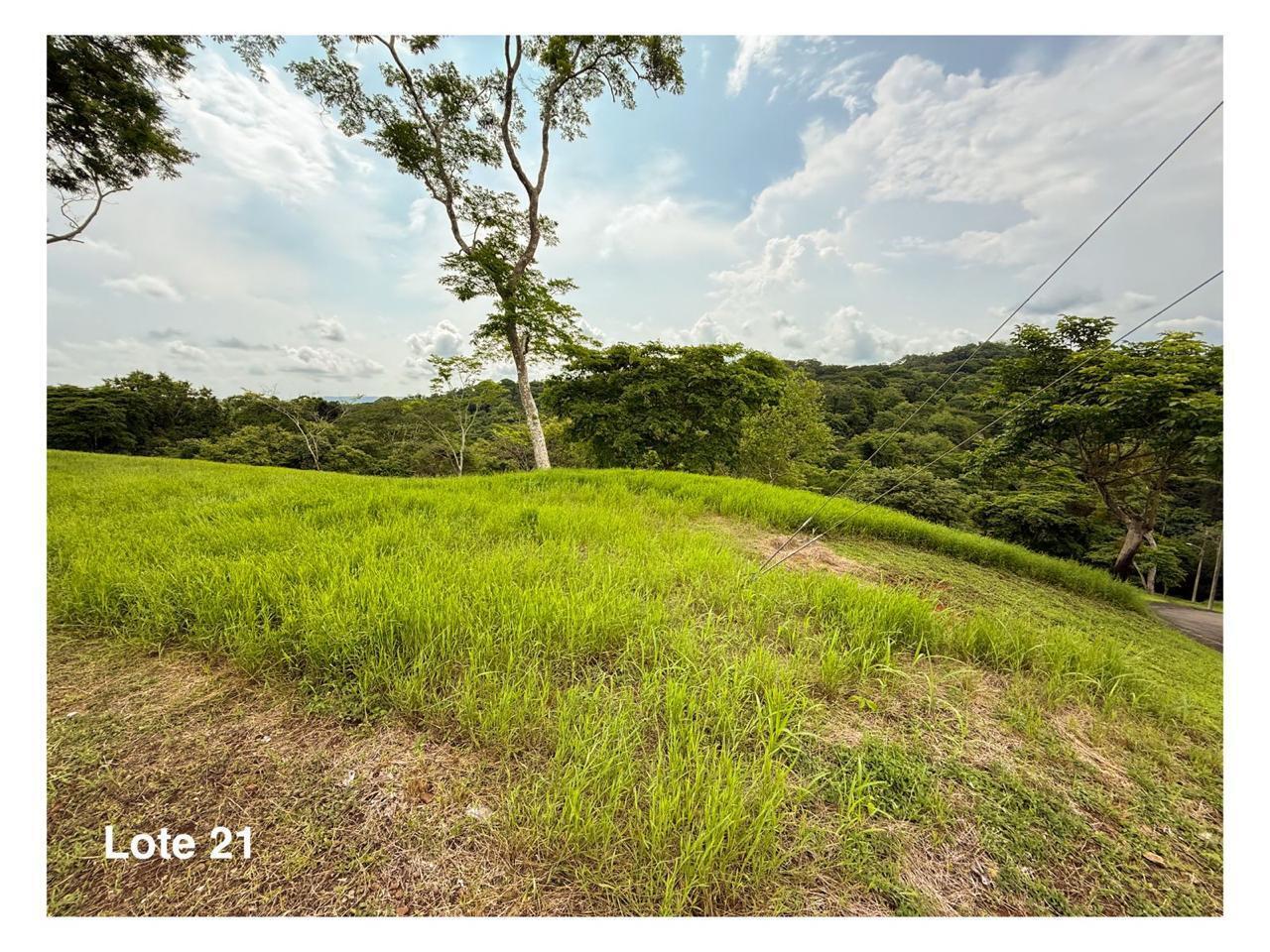 Property at Orotina