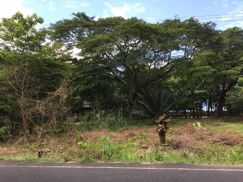 Terreno en Cóbano