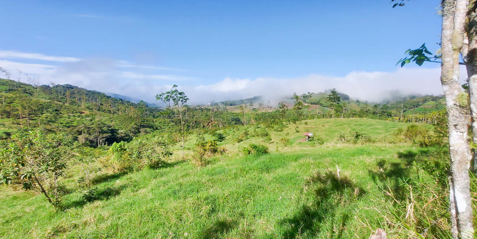 Propiedad en Alajuela