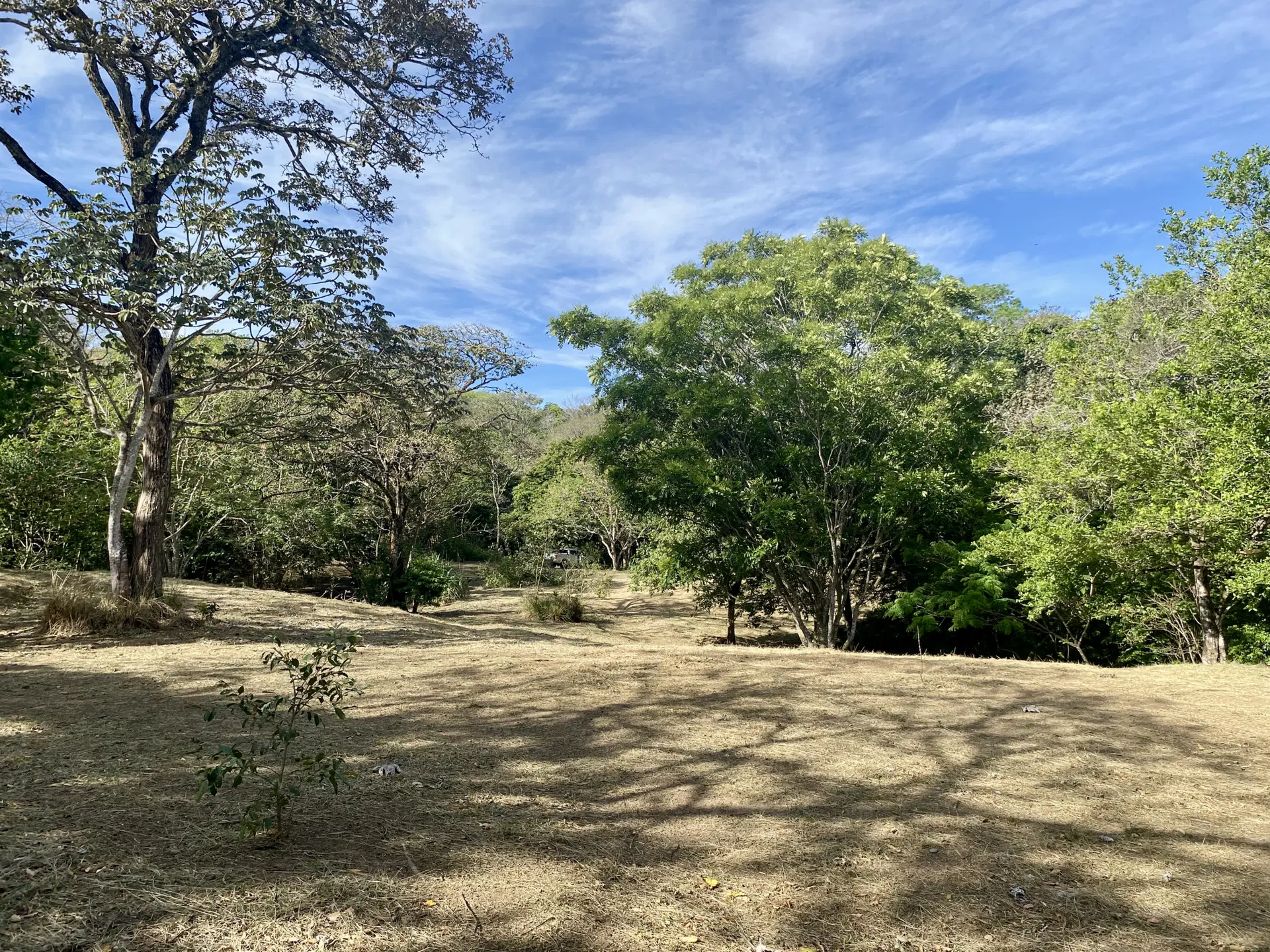 Property at Colón