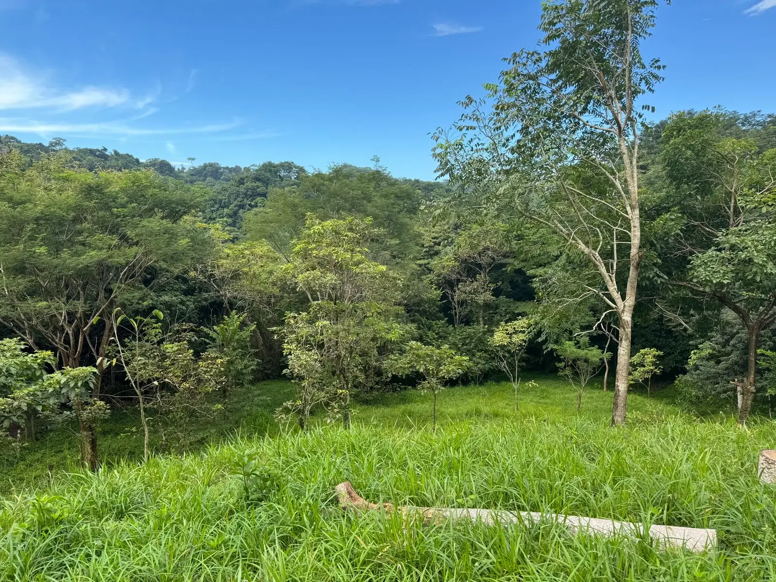Land at Cóbano