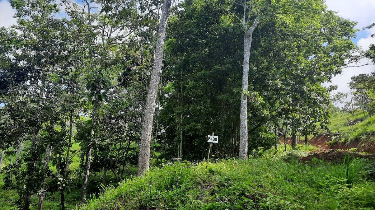 Property at Jacó