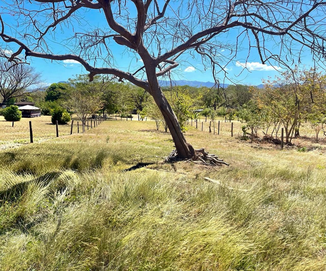 Land at Santa Cruz