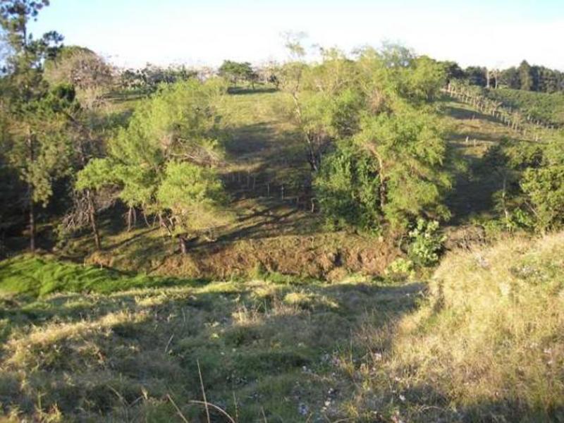 Terreno en Guadalupe