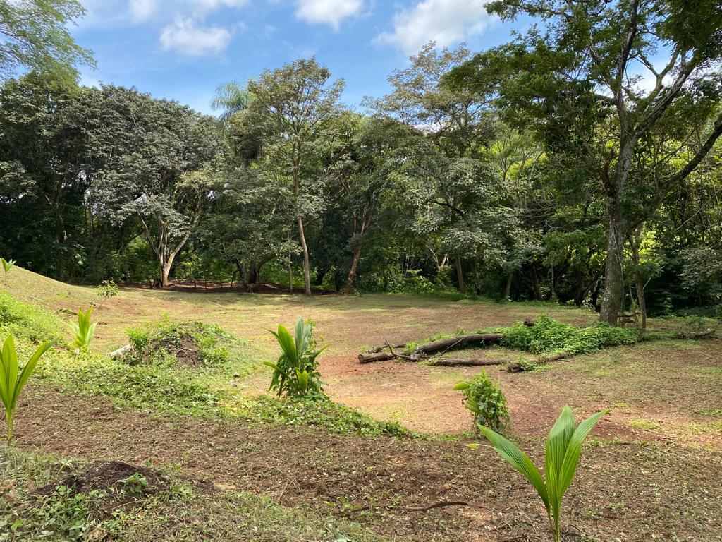 Terreno en Coyolar