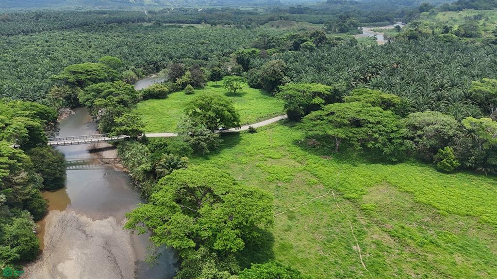 Land at Quepos