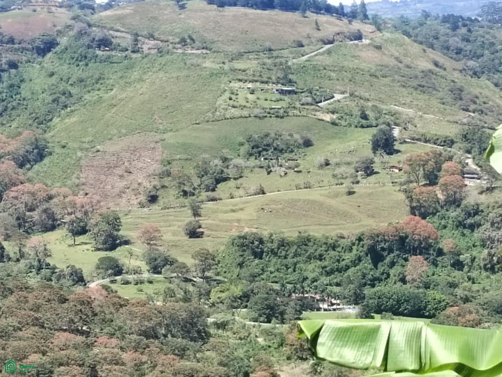 Terreno en Orosí