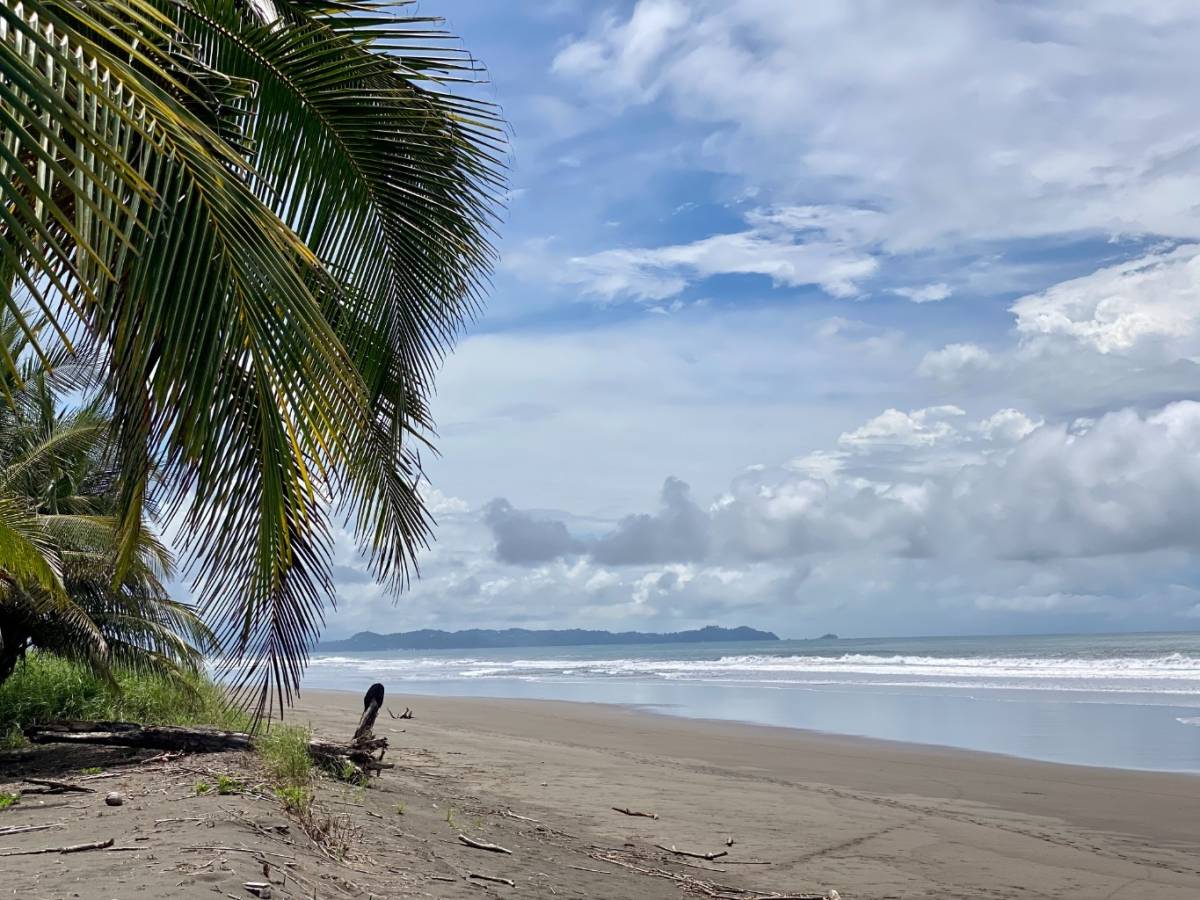 Property at Parrita