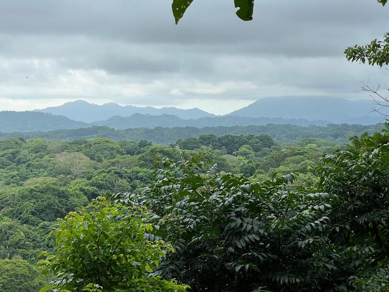 Terreno en Cóbano